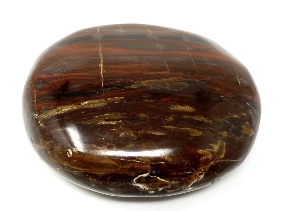 Fossil Wood Pebble 6.2cm