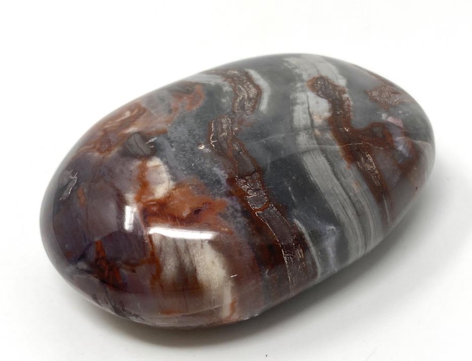 Fossil Wood Pebble 6.6cm