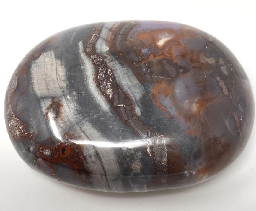 Fossil Wood Pebble 6.6cm