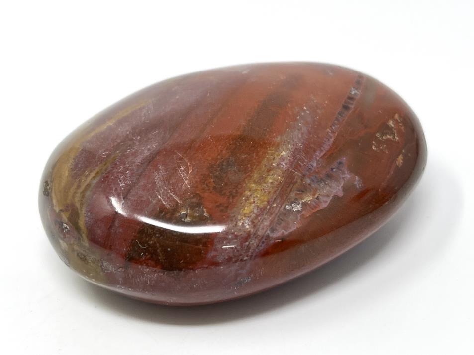 Fossil Wood Pebble 6.5cm