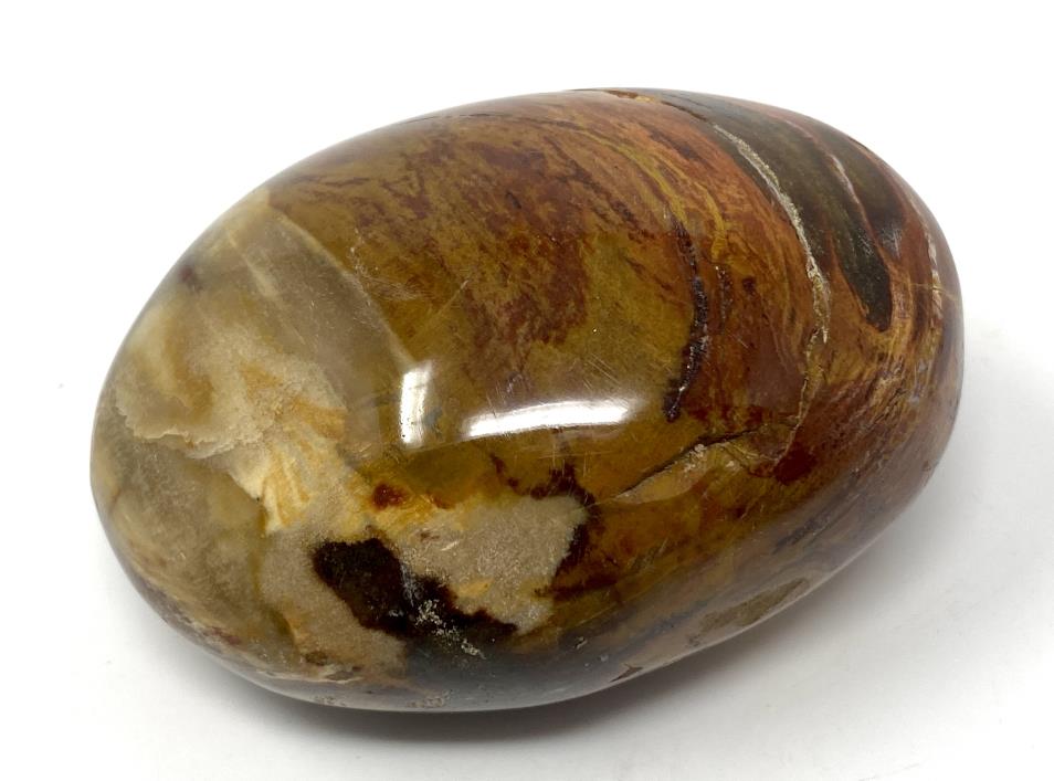 Fossil Wood Pebble 6.9cm