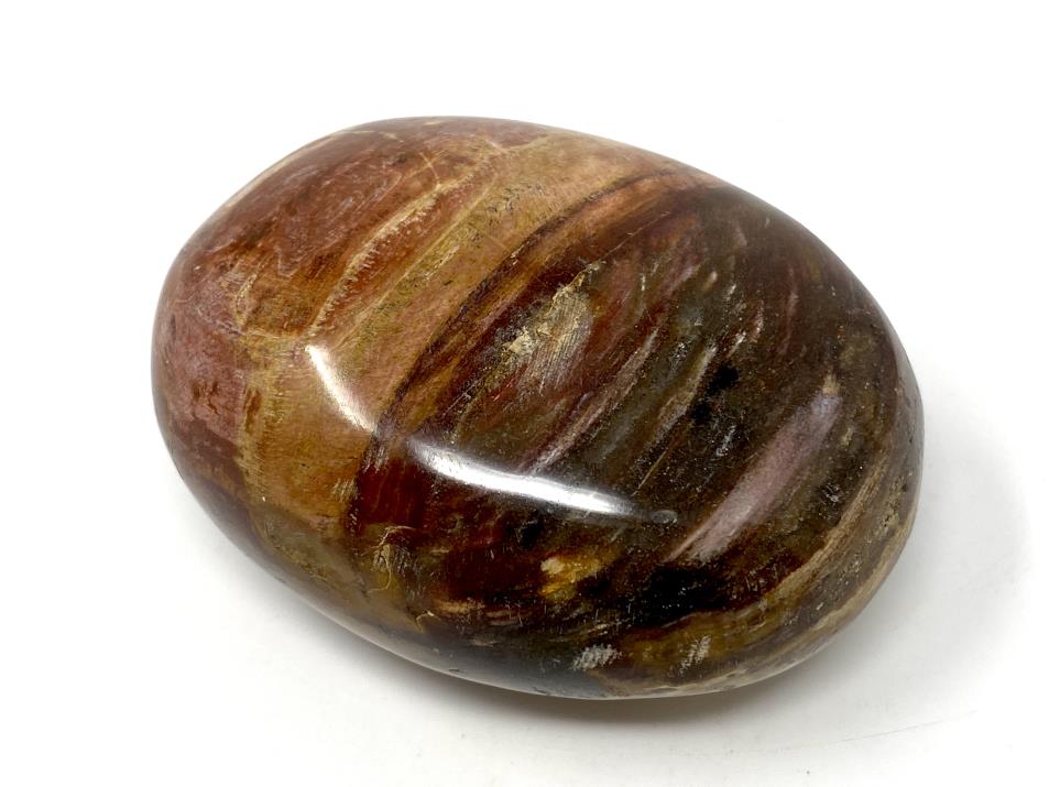 Fossil Wood Pebble 6.9cm