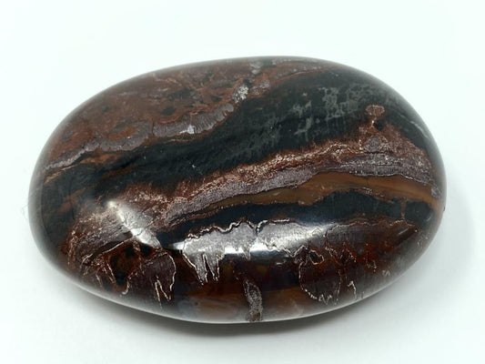 Fossil Wood Pebble 6.7cm