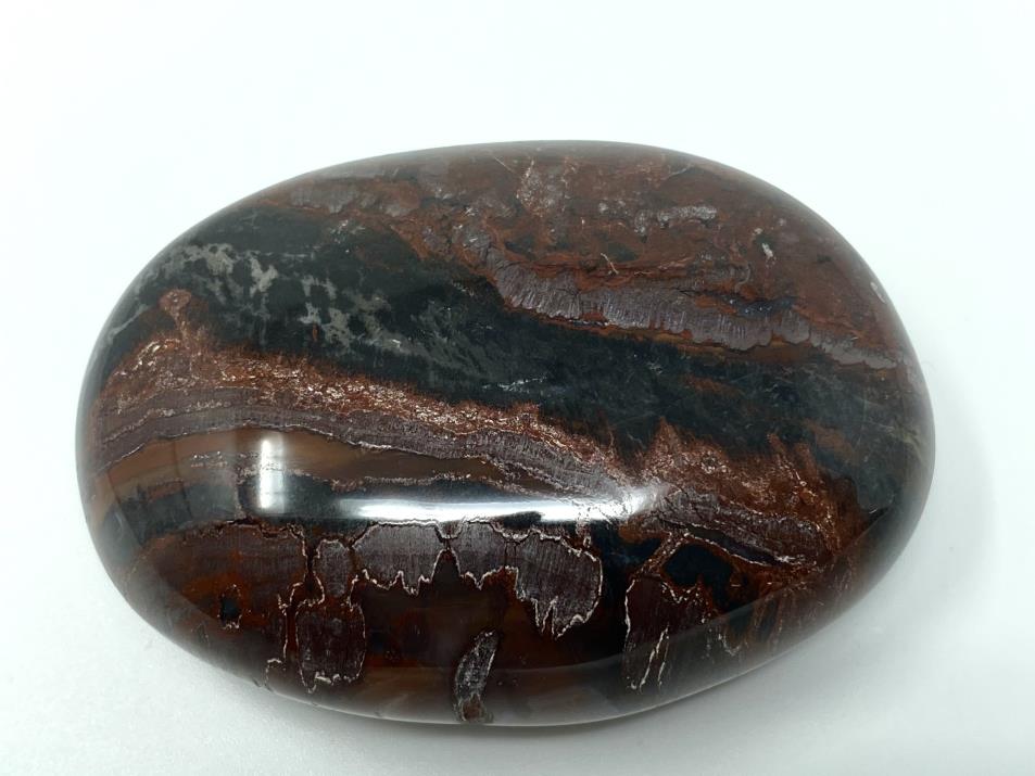 Fossil Wood Pebble 6.7cm