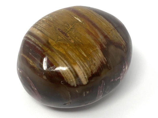 Fossil Wood Pebble 5.7cm