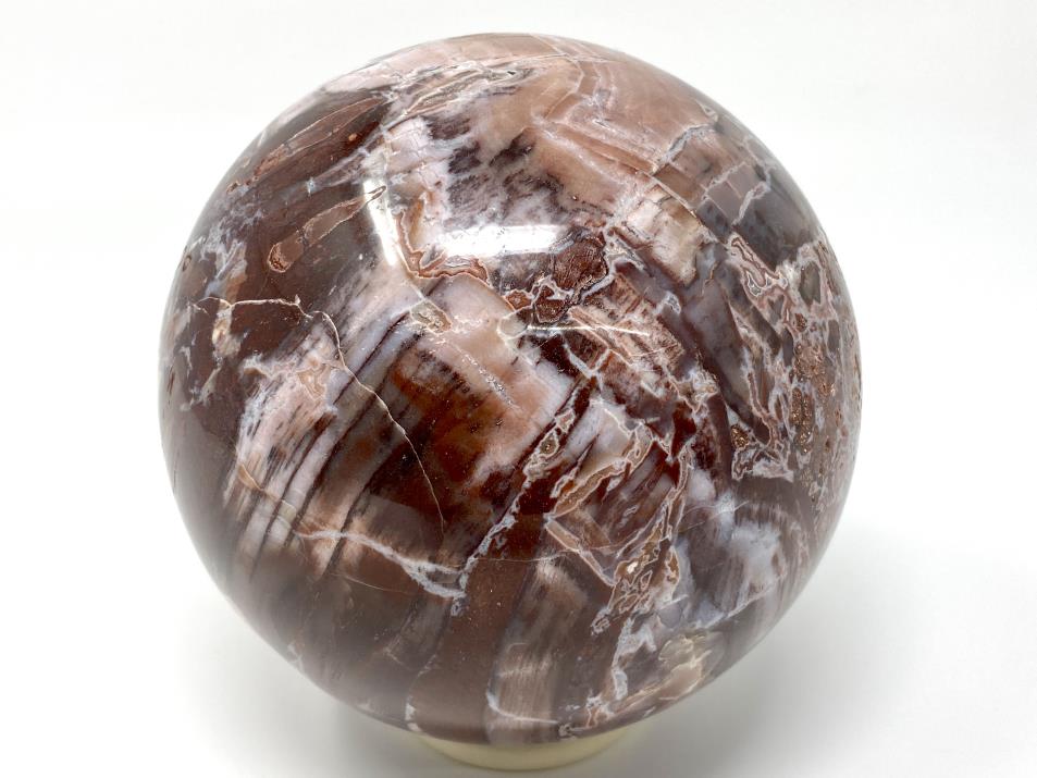 Fossil Wood Sphere Large 12.2cm