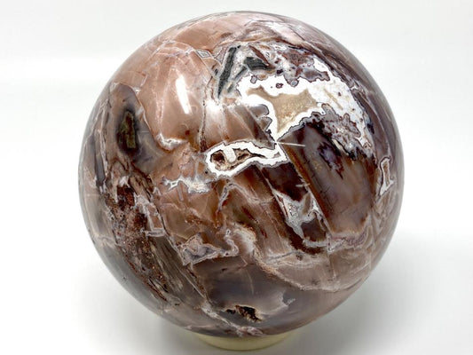 Fossil Wood Sphere Large 12.2cm