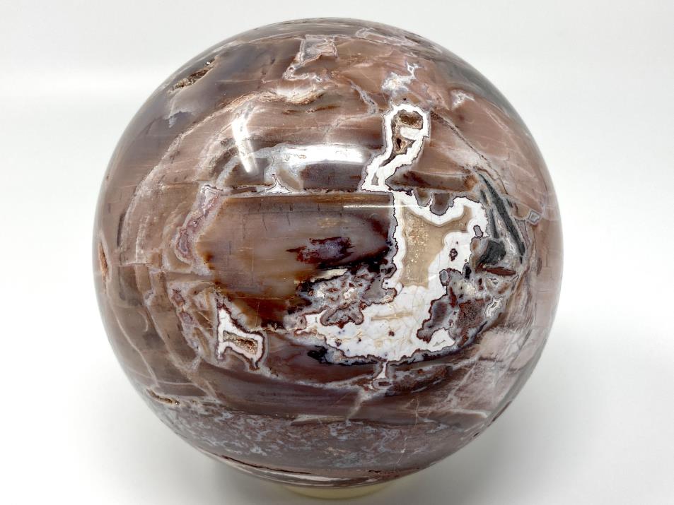 Fossil Wood Sphere Large 12.2cm