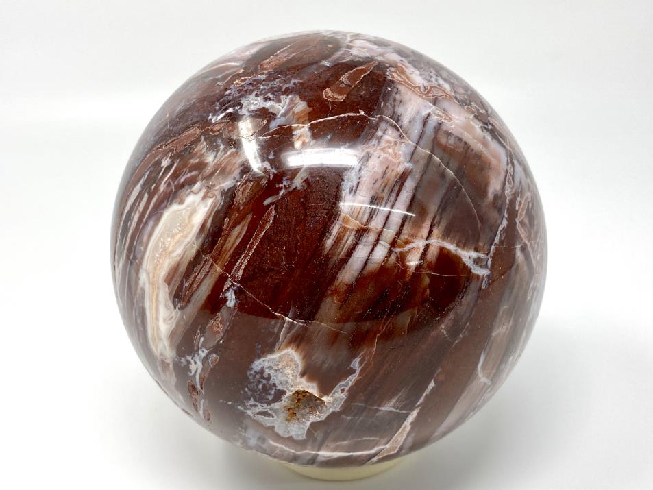 Fossil Wood Sphere Large 12.2cm