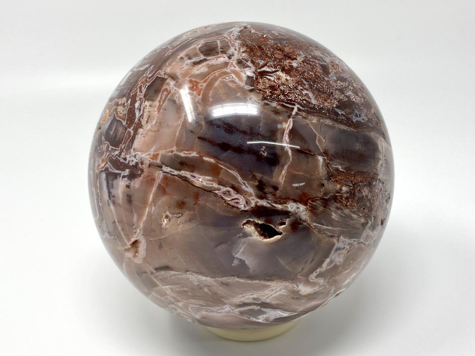 Fossil Wood Sphere Large 12.2cm