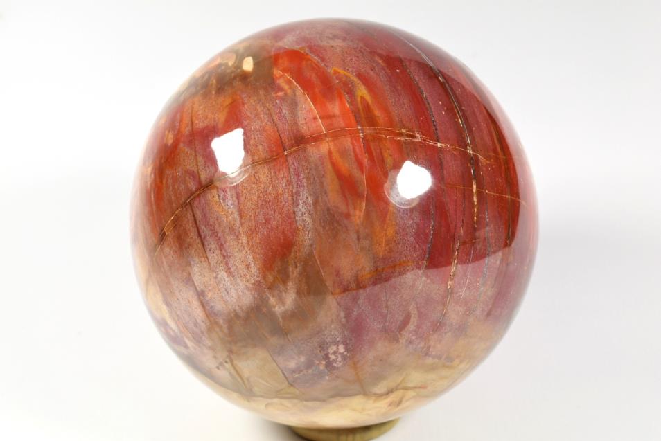 Fossil Wood Sphere Large 14.5cm