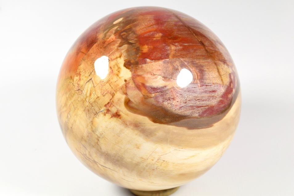 Fossil Wood Sphere Large 14.5cm