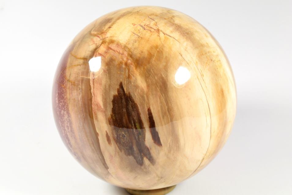 Fossil Wood Sphere Large 14.5cm