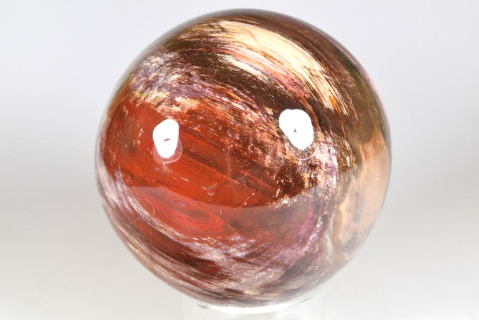 Fossil Wood Sphere Large 9.9cm