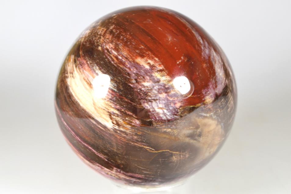 Fossil Wood Sphere Large 9.9cm