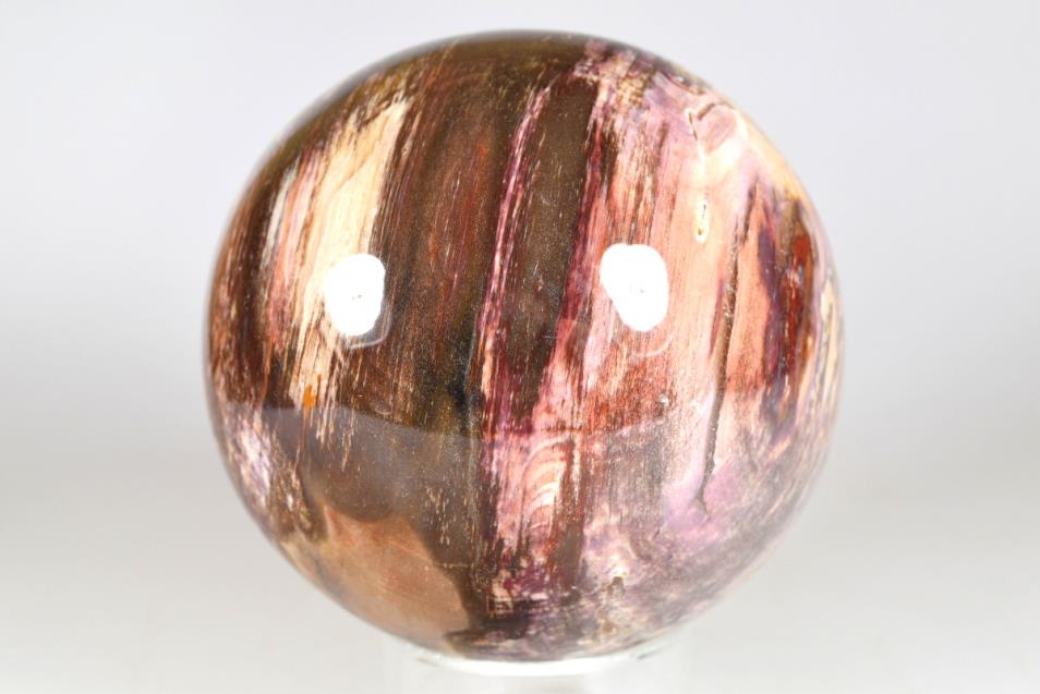 Fossil Wood Sphere Large 9.9cm