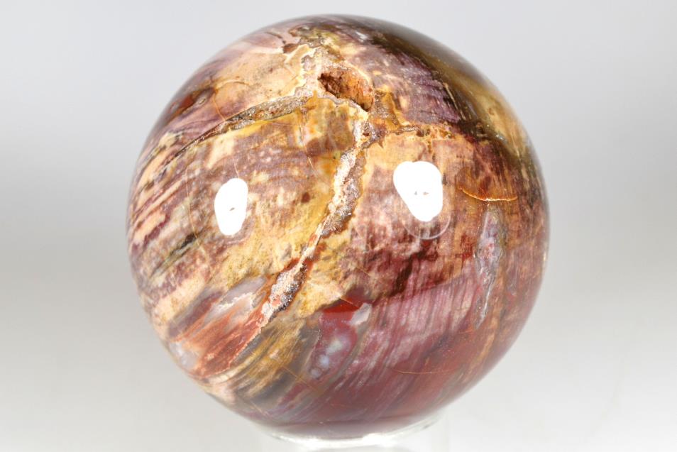 Fossil Wood Sphere Large 9.9cm