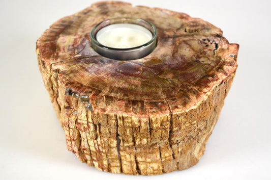 Fossilised Wood Tea Light 14.5cm