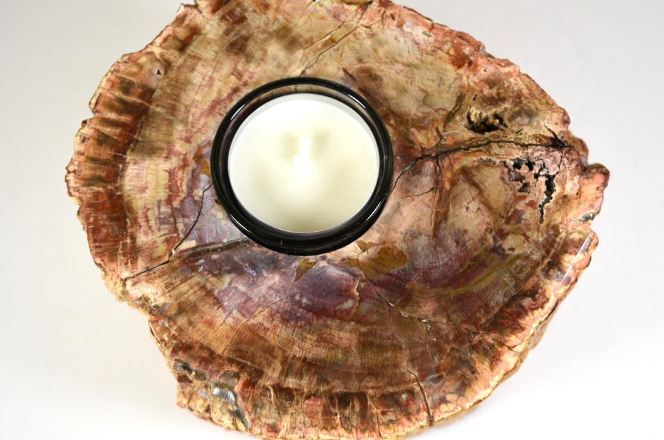 Fossilised Wood Tea Light 14.5cm