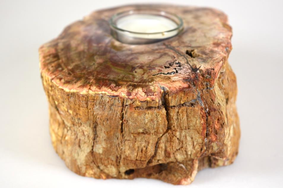 Fossilised Wood Tea Light 14.5cm