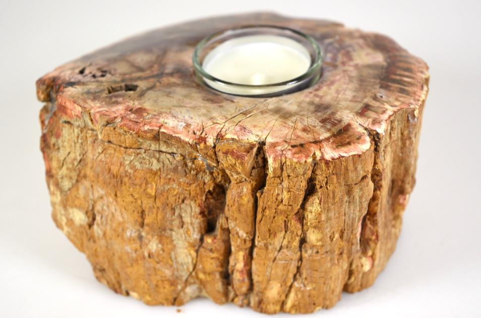 Fossilised Wood Tea Light 14.5cm