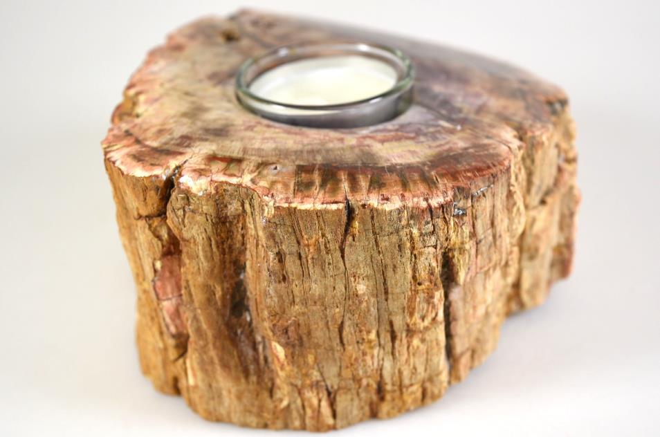 Fossilised Wood Tea Light 14.5cm