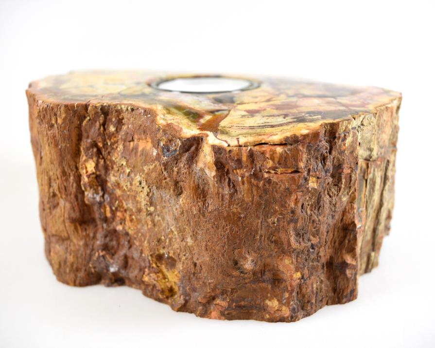 Fossilised Wood Tea Light 16.5cm