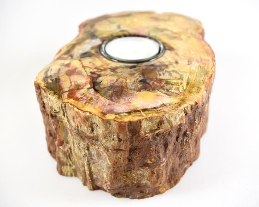 Fossilised Wood Tea Light 16.5cm