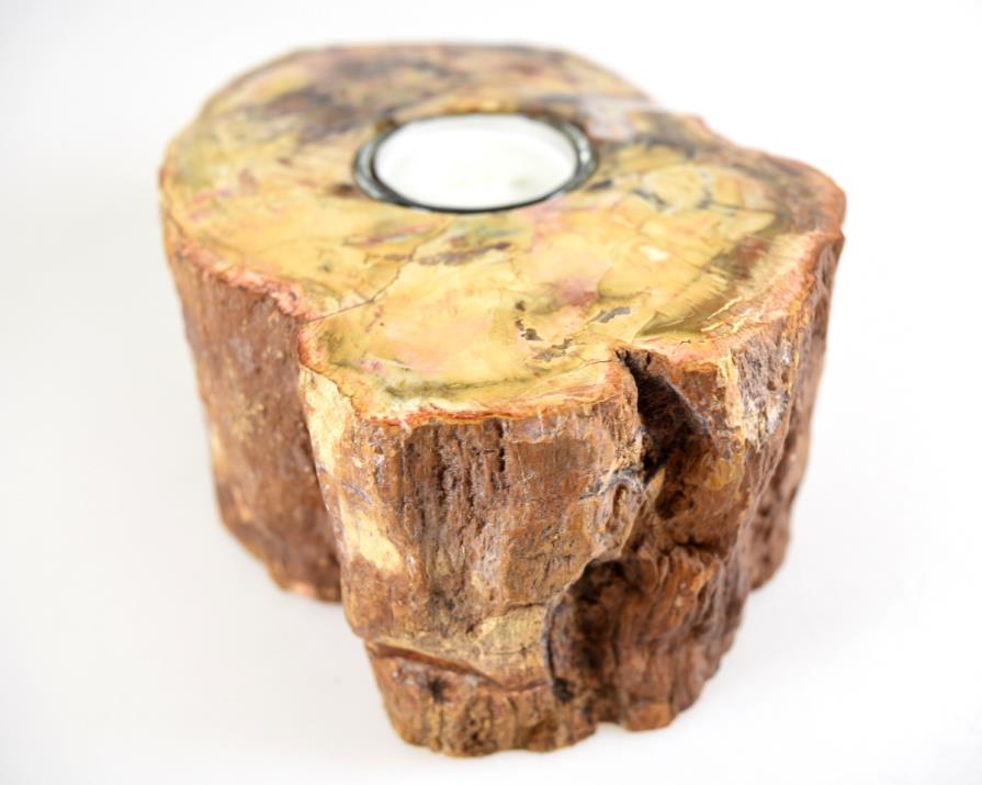 Fossilised Wood Tea Light 16.5cm