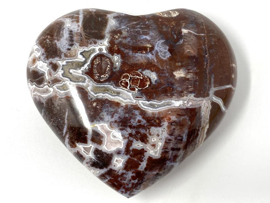 Fossil Wood Heart 6.9cm