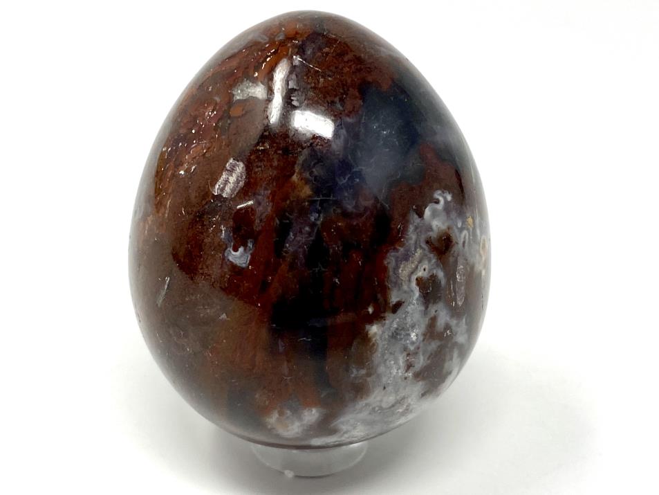 Fossil Wood Egg 5.3cm