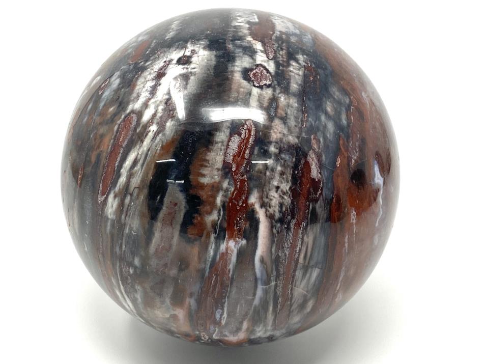 Fossil Wood Sphere Large 12.6cm