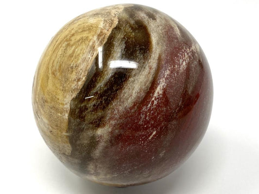 Fossil Wood Sphere 6.8cm