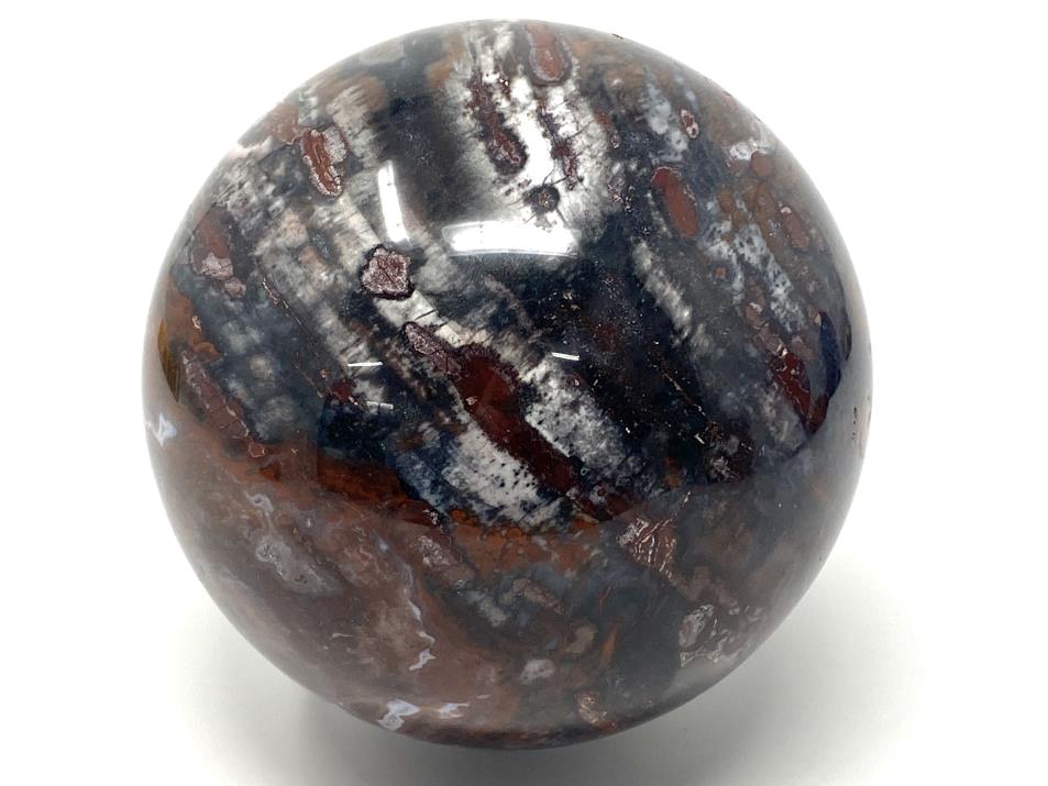 Fossil Wood Sphere Large 12.6cm