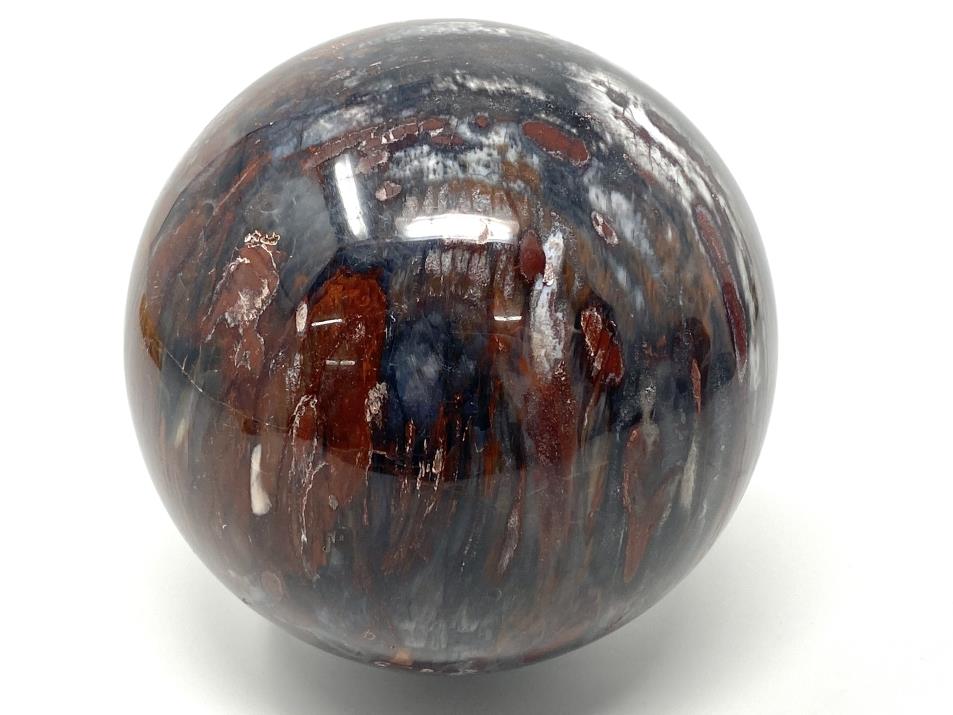 Fossil Wood Sphere Large 12.6cm