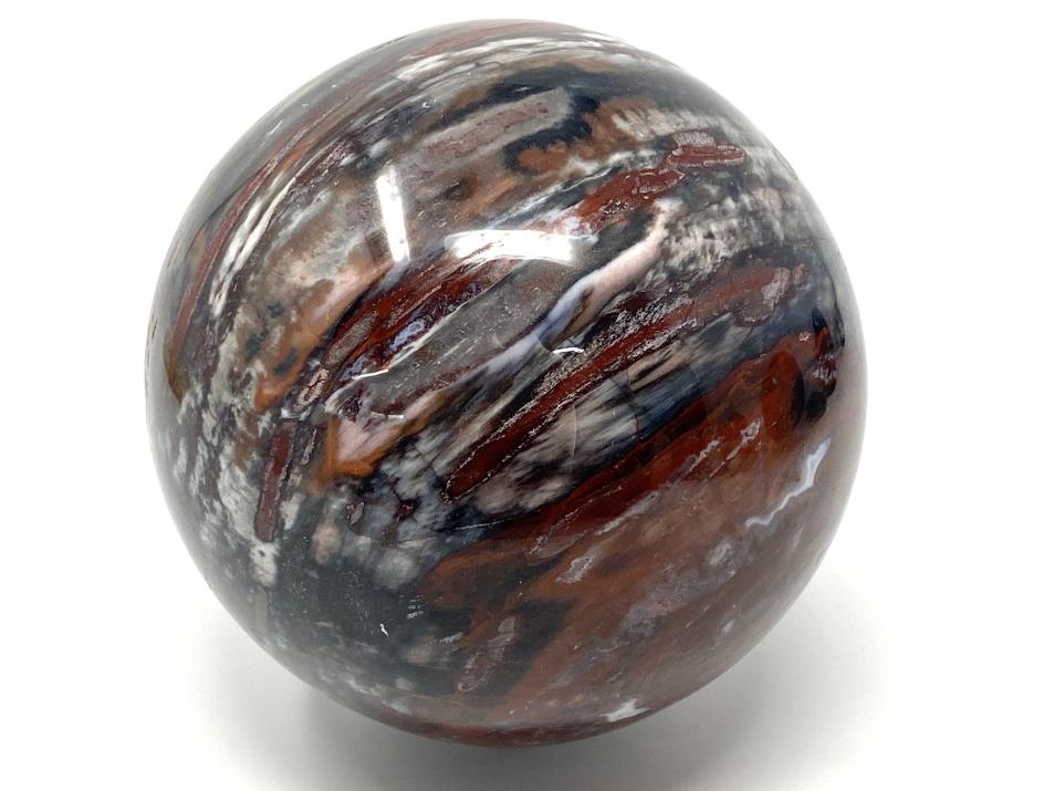 Fossil Wood Sphere Large 12.6cm