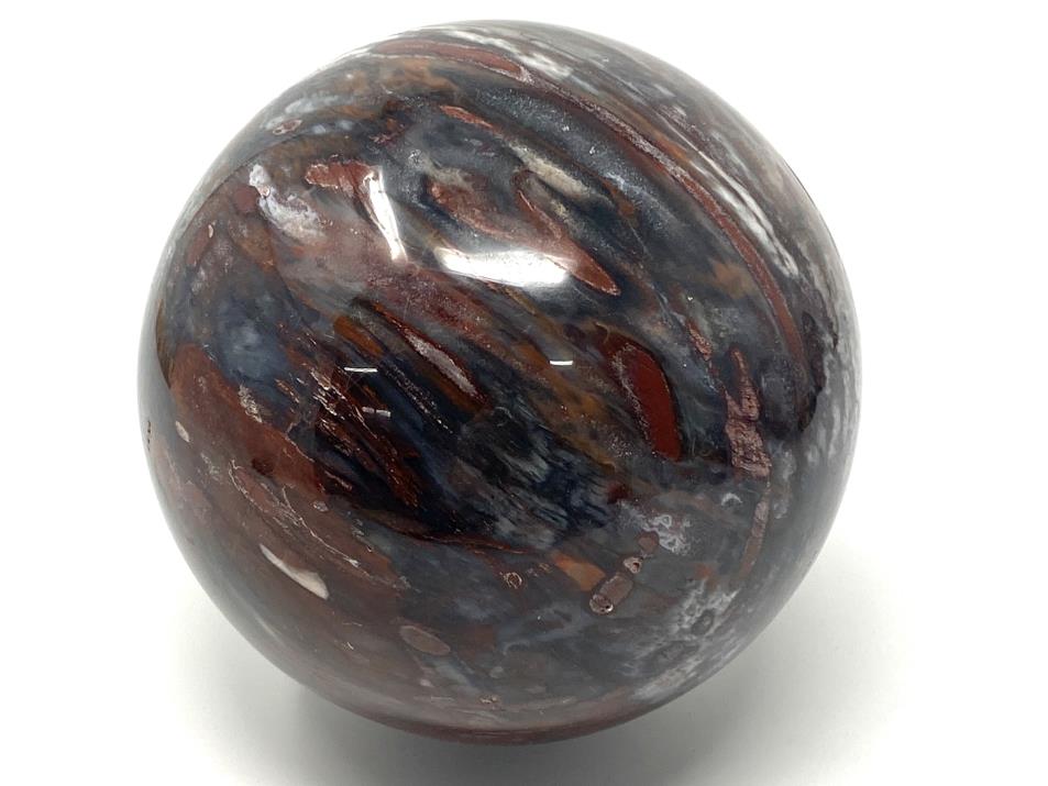 Fossil Wood Sphere Large 12.6cm