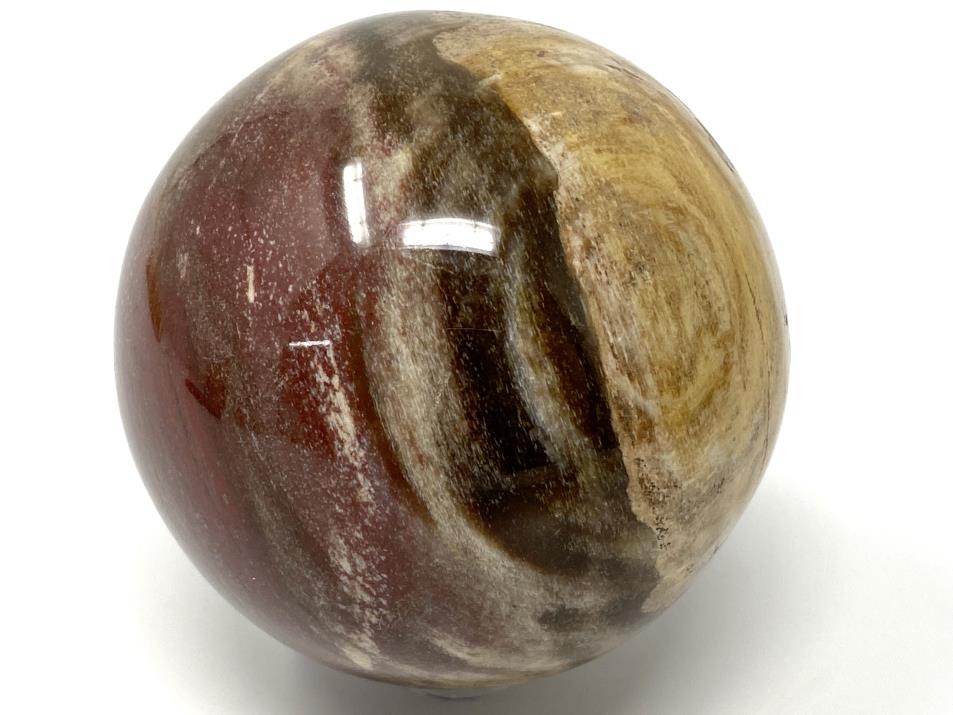 Fossil Wood Sphere 6.8cm