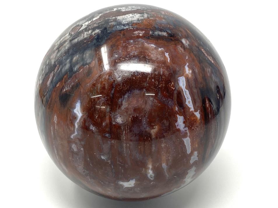 Fossil Wood Sphere Large 12.6cm