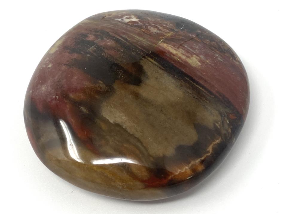 Fossil Wood Pebble 6.2cm