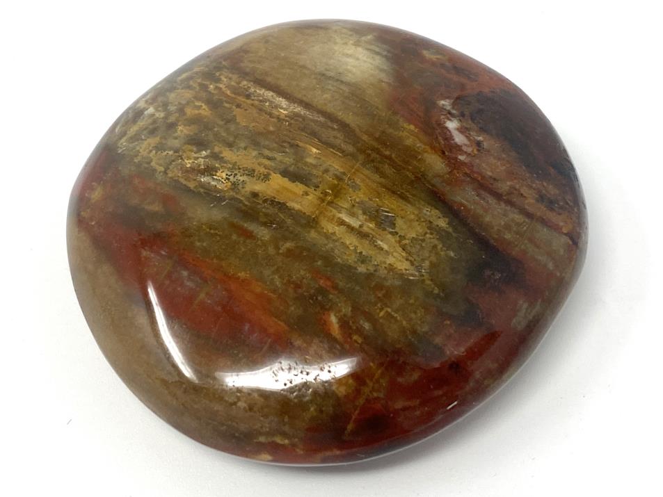 Fossil Wood Pebble 6.2cm