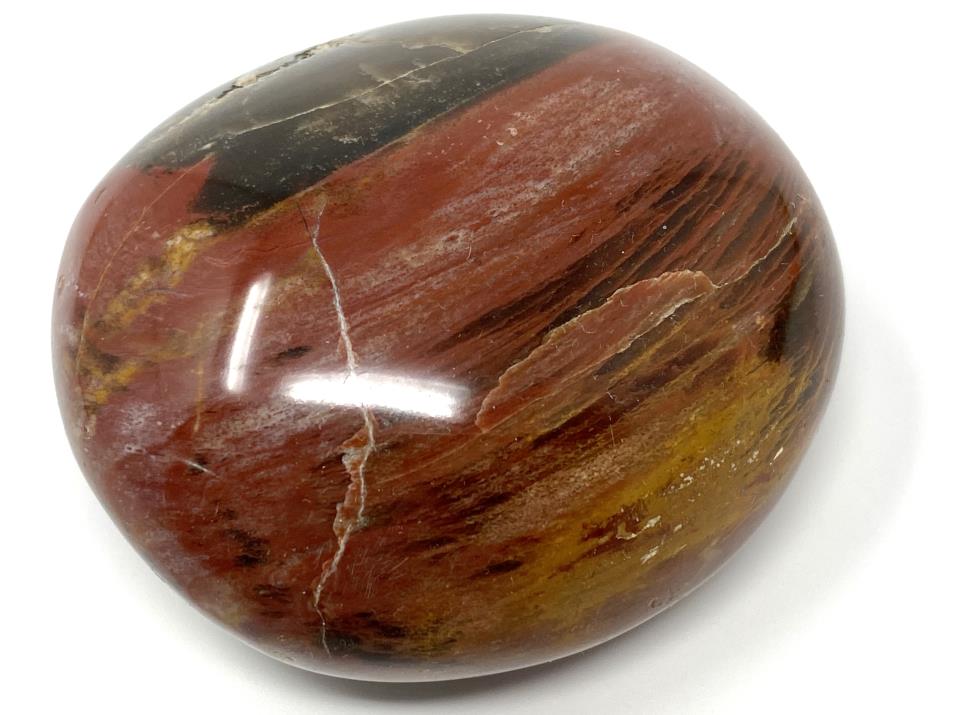 Fossil Wood Pebble 6.2cm