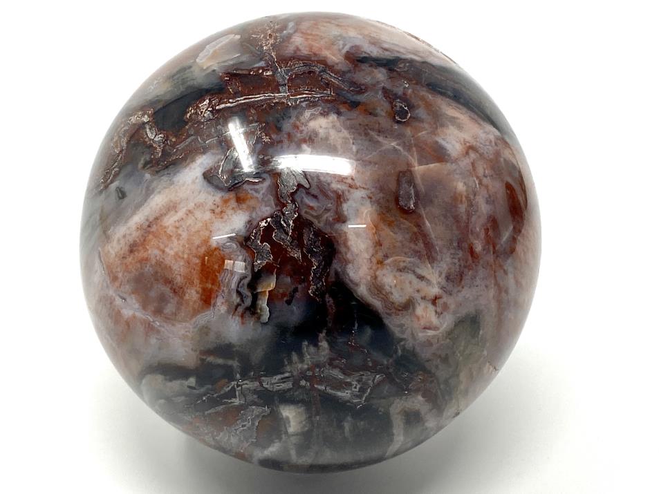 Druzy Fossil Wood Sphere Large 9.3cm