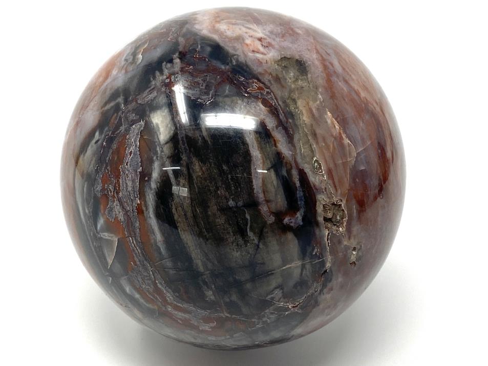 Druzy Fossil Wood Sphere Large 9.3cm