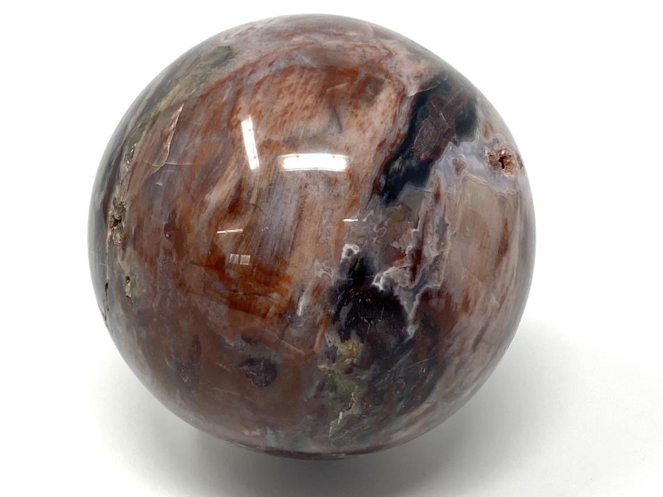 Druzy Fossil Wood Sphere Large 9.3cm