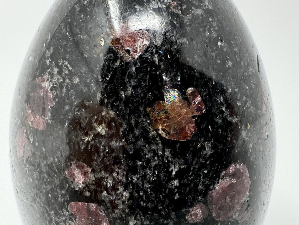 Garnet in Black Tourmaline Crystal Egg 6cm