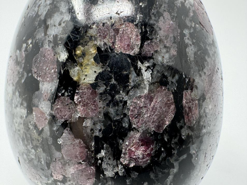 Garnet in Black Tourmaline Crystal Egg 5.4cm