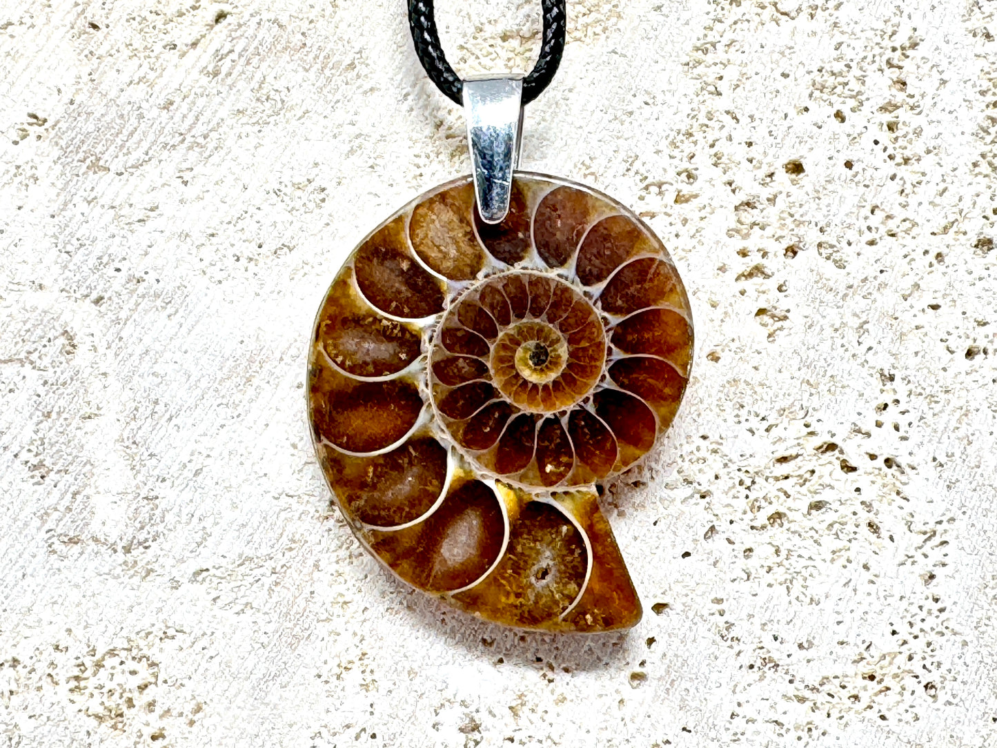 Ammonite Half Pendant 3.4cm