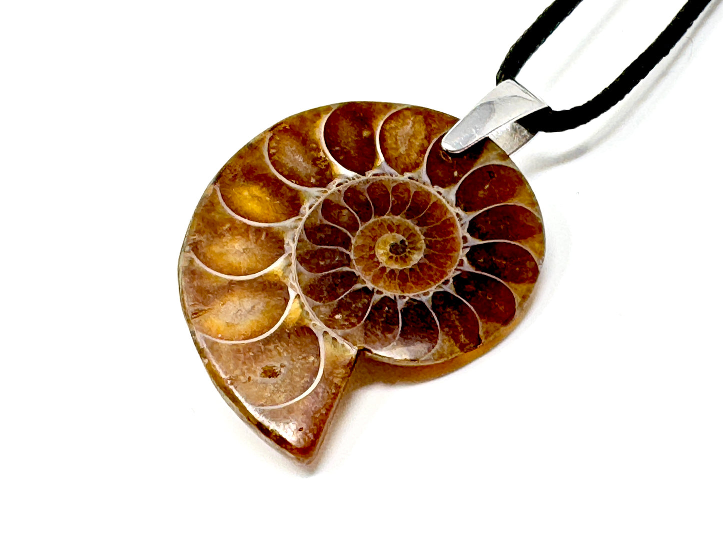 Ammonite Half Pendant 3.4cm