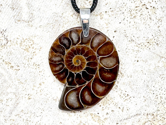 Ammonite Half Pendant 3.8cm